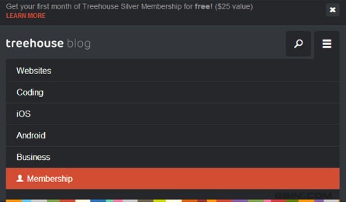 引荐20款2013年最值得重视最抢手的网页描绘